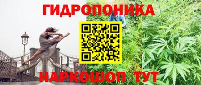 не бодяженный Аша
